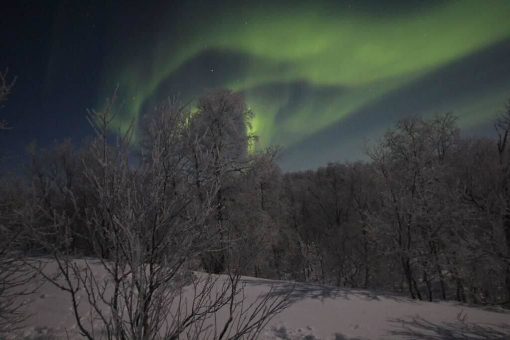 Шале Aurora mökki porealtaalla Lapissa Tenojoen rannassa Нуоргам-27